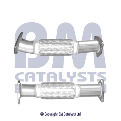 BM Catalysts BM50642