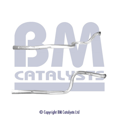 BM Catalysts BM50635