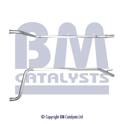 BM Catalysts BM50629