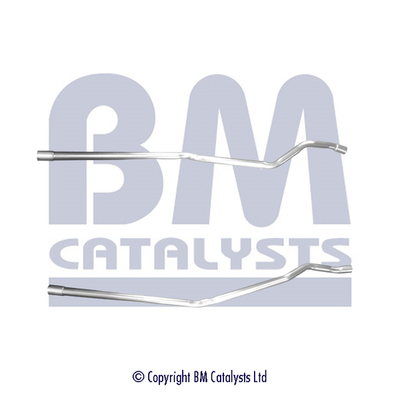 BM Catalysts BM50624