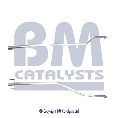 BM Catalysts BM50623