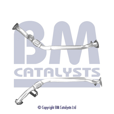 BM Catalysts BM50621