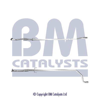 BM Catalysts BM50619