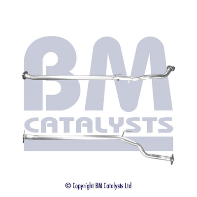 BM Catalysts BM50613