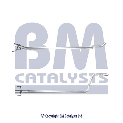 BM Catalysts BM50609