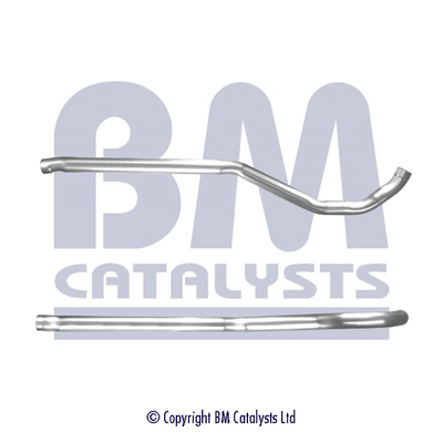 BM Catalysts BM50599