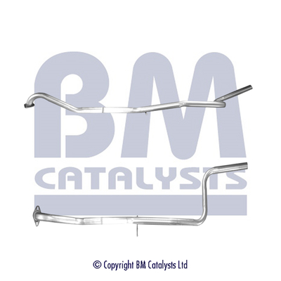 BM Catalysts BM50597