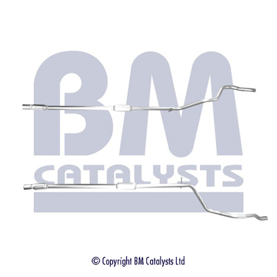 BM Catalysts BM50590