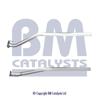 BM Catalysts BM50587