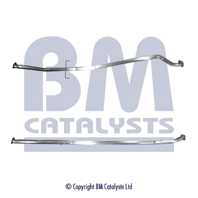 BM Catalysts BM50584