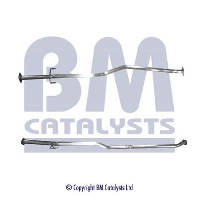 BM Catalysts BM50583