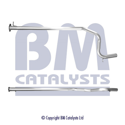 BM Catalysts BM50576