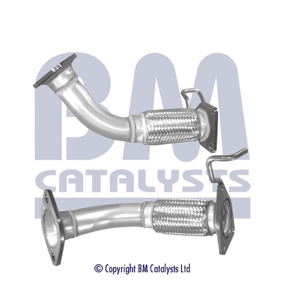 BM Catalysts BM50564