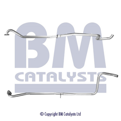 BM Catalysts BM50559