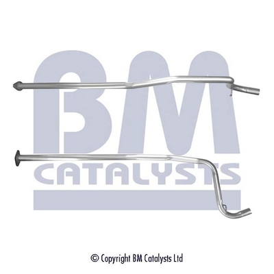 BM Catalysts BM50555K