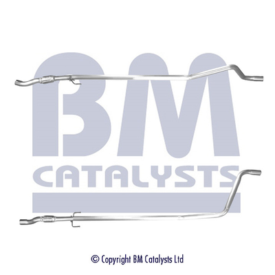 BM Catalysts BM50547