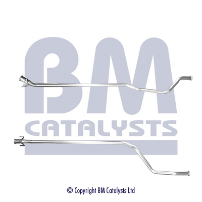 BM Catalysts BM50544