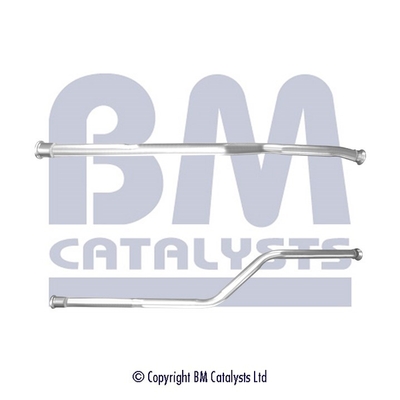 BM Catalysts BM50542