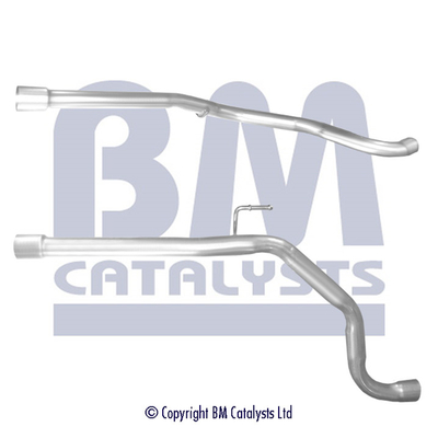 BM Catalysts BM50539K