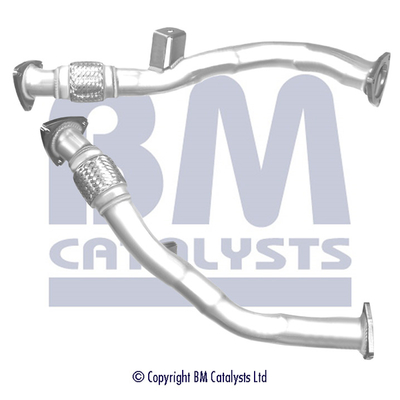 BM Catalysts BM50511