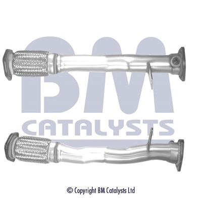 BM Catalysts BM50510