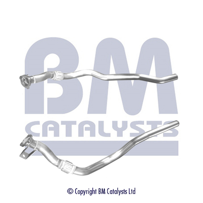 BM Catalysts BM50496