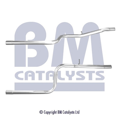 BM Catalysts BM50482