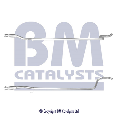 BM Catalysts BM50481