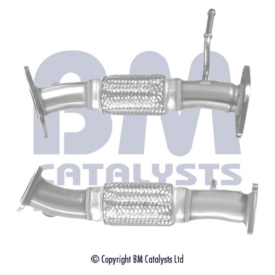 BM Catalysts BM50479