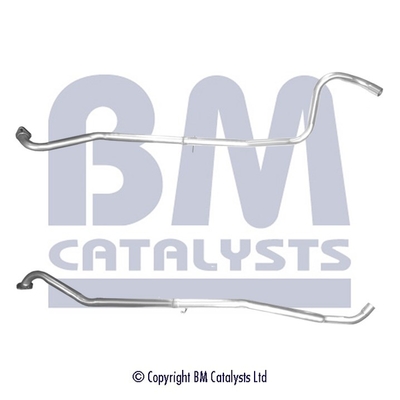 BM Catalysts BM50469K