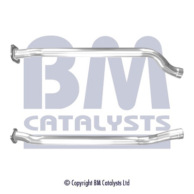 BM Catalysts BM50461