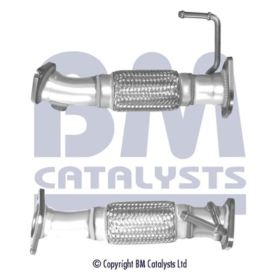 BM Catalysts BM50454