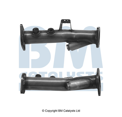 BM Catalysts BM50448