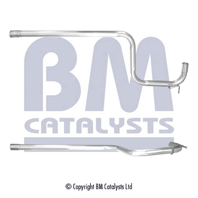 BM Catalysts BM50412