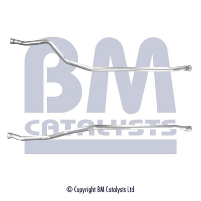 BM Catalysts BM50395