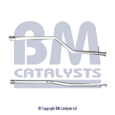 BM Catalysts BM50392