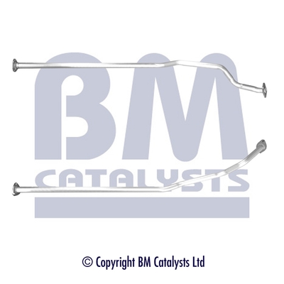 BM Catalysts BM50391