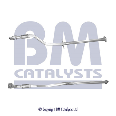 BM Catalysts BM50389