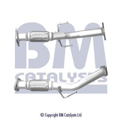 BM Catalysts BM50381