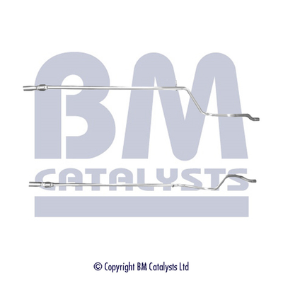 BM Catalysts BM50379K