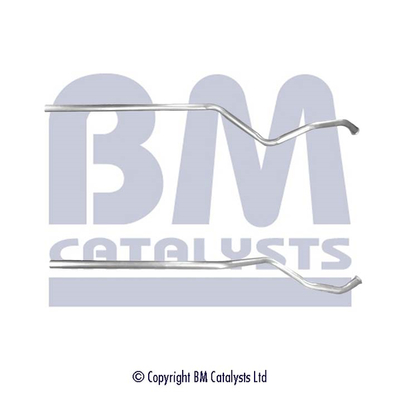 BM Catalysts BM50377