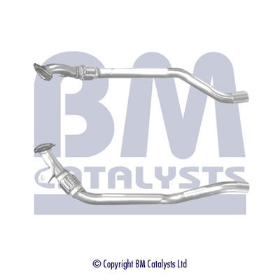 BM Catalysts BM50374K