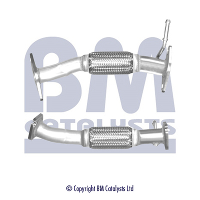 BM Catalysts BM50368