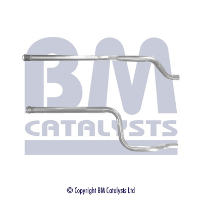 BM Catalysts BM50367