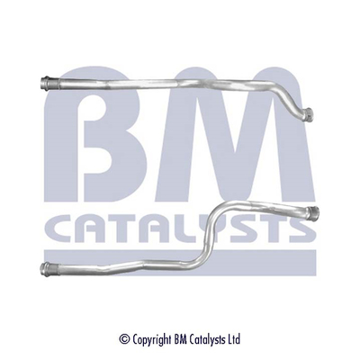 BM Catalysts BM50357