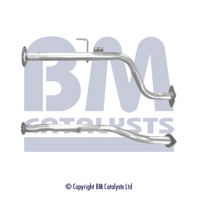 BM Catalysts BM50349