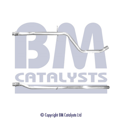 BM Catalysts BM50344