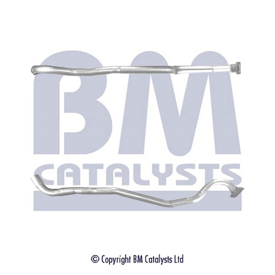 BM Catalysts BM50343