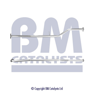 BM Catalysts BM50317