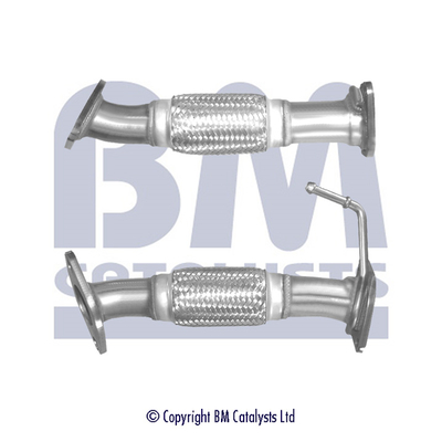 BM Catalysts BM50316